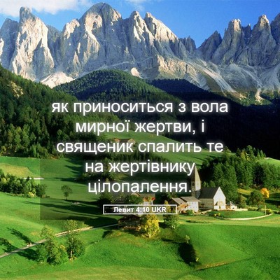 Picture 05 - Левит 4:10 UKR - як приноситься з вола - Bible Verse Picture