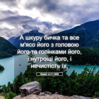 Picture 05 - Левит 4:11 UKR - А шкуру бичка та все м'ясо - Bible Verse Picture