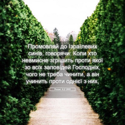 Picture 05 - Левит 4:2 UKR - Промовляй до Ізраїлевих - Bible Verse Picture