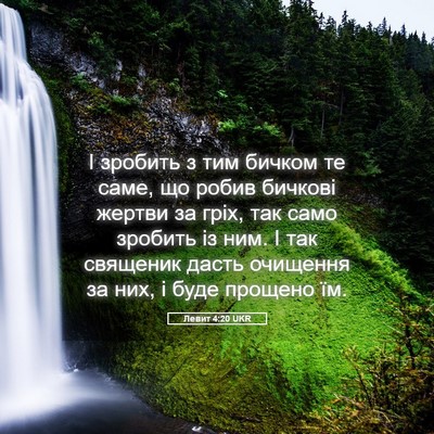 Picture 05 - Левит 4:20 UKR - І зробить з тим бичком те - Bible Verse Picture