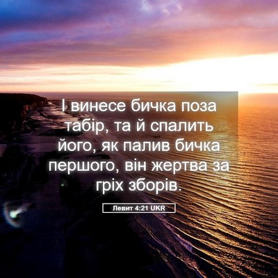 Picture 05 - Левит 4:21 UKR - І винесе бичка поза табір, - Bible Verse Picture