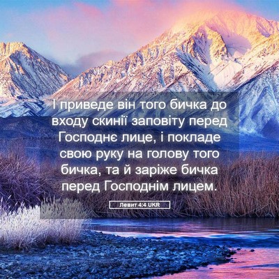 Picture 05 - Левит 4:4 UKR - І приведе він того бичка до - Bible Verse Picture