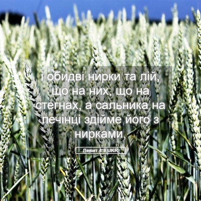 Picture 05 - Левит 4:9 UKR - і обидві нирки та лій, що на - Bible Verse Picture