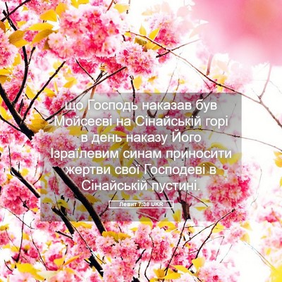 Picture 05 - Левит 7:38 UKR - що Господь наказав був - Bible Verse Picture