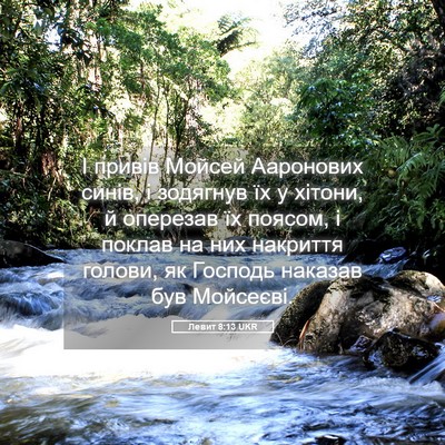 Picture 05 - Левит 8:13 UKR - І привів Мойсей Ааронових - Bible Verse Picture