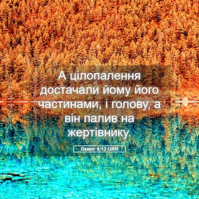Picture 05 - Левит 9:13 UKR - А цілопалення достачали - Bible Verse Picture