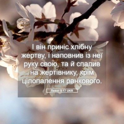 Picture 05 - Левит 9:17 UKR - І він приніс хлібну жертву, - Bible Verse Picture