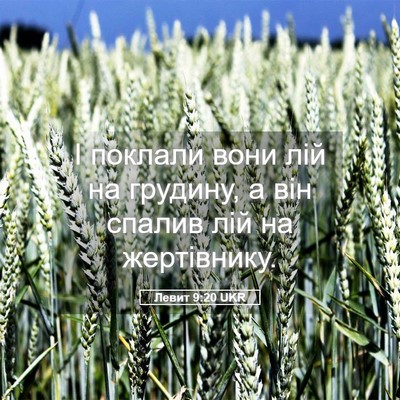 Picture 05 - Левит 9:20 UKR - І поклали вони лій на - Bible Verse Picture