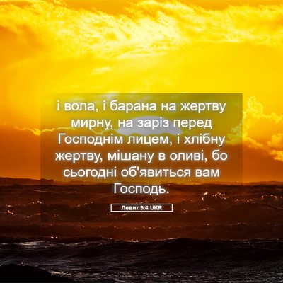 Picture 05 - Левит 9:4 UKR - і вола, і барана на жертву - Bible Verse Picture
