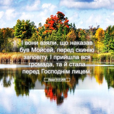 Picture 05 - Левит 9:5 UKR - І вони взяли, що наказав - Bible Verse Picture