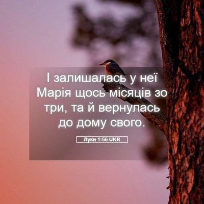 Picture 05 - Луки 1:56 UKR - І залишалась у неї Марія - Bible Verse Picture