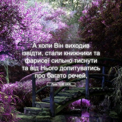 Picture 05 - Луки 11:53 UKR - А коли Він виходив ізвідти, - Bible Verse Picture