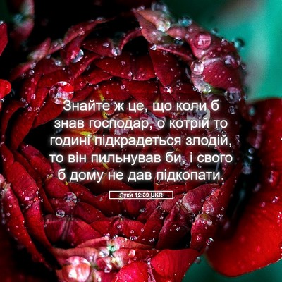 Picture 05 - Луки 12:39 UKR - Знайте ж це, що коли б знав - Bible Verse Picture