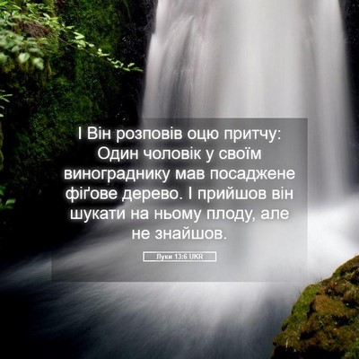 Picture 05 - Луки 13:6 UKR - І Він розповів оцю притчу: - Bible Verse Picture