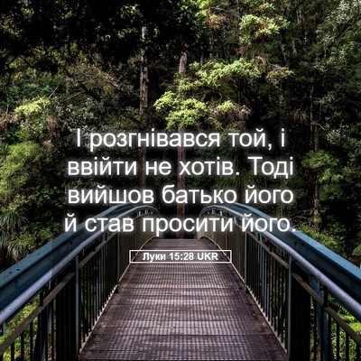 Picture 05 - Луки 15:28 UKR - І розгнівався той, і ввійти - Bible Verse Picture