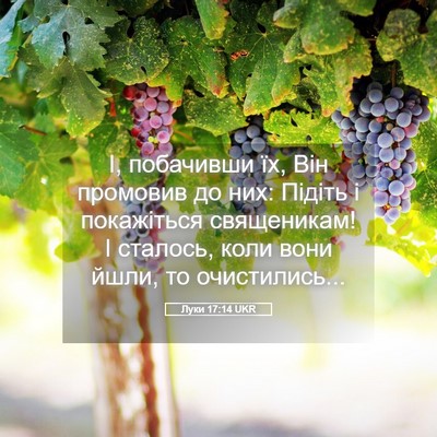 Picture 05 - Луки 17:14 UKR - І, побачивши їх, Він - Bible Verse Picture