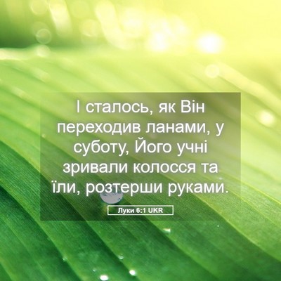 Picture 05 - Луки 6:1 UKR - І сталось, як Він переходив - Bible Verse Picture