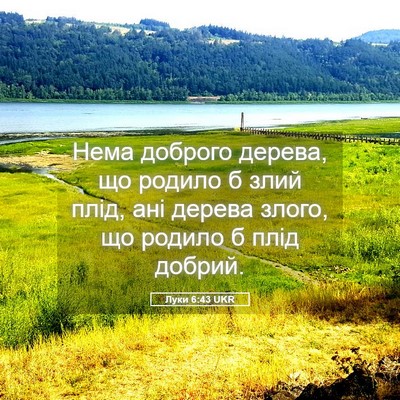 Picture 05 - Луки 6:43 UKR - Нема доброго дерева, що - Bible Verse Picture