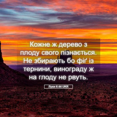 Picture 05 - Луки 6:44 UKR - Кожне ж дерево з плоду - Bible Verse Picture
