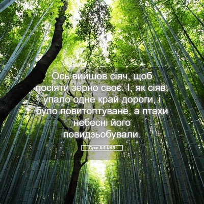Picture 05 - Луки 8:5 UKR - Ось вийшов сіяч, щоб - Bible Verse Picture