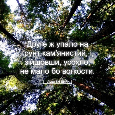 Picture 05 - Луки 8:6 UKR - Друге ж упало на ґрунт - Bible Verse Picture
