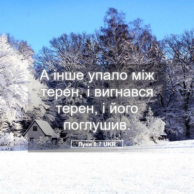 Picture 05 - Луки 8:7 UKR - А інше упало між терен, і - Bible Verse Picture