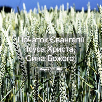 Picture 05 - Марка 1:1 UKR - Початок Євангелії Ісуса - Bible Verse Picture