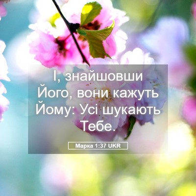 Picture 05 - Марка 1:37 UKR - І, знайшовши Його, вони - Bible Verse Picture
