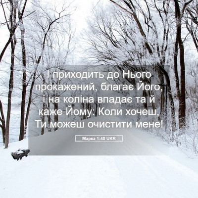 Picture 05 - Марка 1:40 UKR - І приходить до Нього - Bible Verse Picture