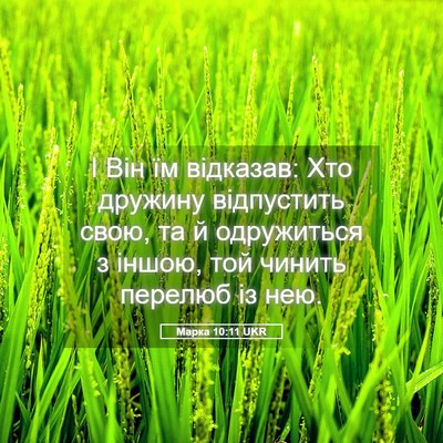 Picture 05 - Марка 10:11 UKR - І Він їм відказав: Хто - Bible Verse Picture