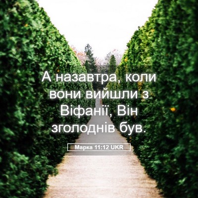 Picture 05 - Марка 11:12 UKR - А назавтра, коли вони - Bible Verse Picture