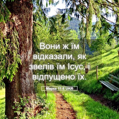 Picture 05 - Марка 11:6 UKR - Вони ж їм відказали, як - Bible Verse Picture