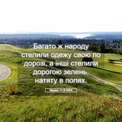 Picture 05 - Марка 11:8 UKR - Багато ж народу стелили - Bible Verse Picture