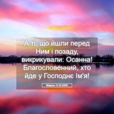 Picture 05 - Марка 11:9 UKR - А ті, що йшли перед Ним і - Bible Verse Picture