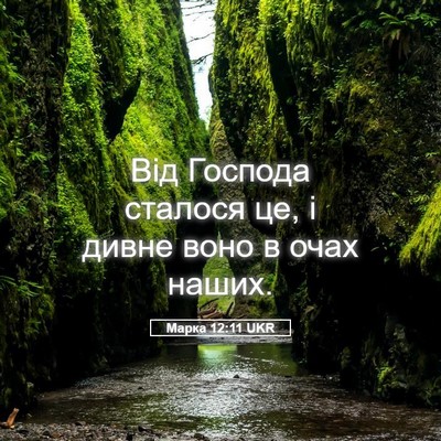 Picture 05 - Марка 12:11 UKR - Від Господа сталося це, і - Bible Verse Picture