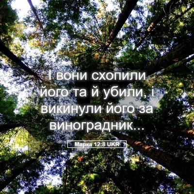 Picture 05 - Марка 12:8 UKR - І вони схопили його та й - Bible Verse Picture