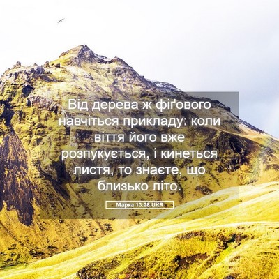 Picture 05 - Марка 13:28 UKR - Від дерева ж фіґового - Bible Verse Picture