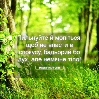 Picture 05 - Марка 14:38 UKR - Пильнуйте й моліться, щоб - Bible Verse Picture