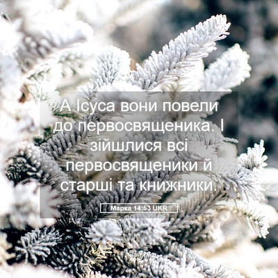 Picture 05 - Марка 14:53 UKR - А Ісуса вони повели до - Bible Verse Picture