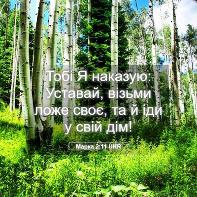Picture 05 - Марка 2:11 UKR - Тобі Я наказую: Уставай, - Bible Verse Picture