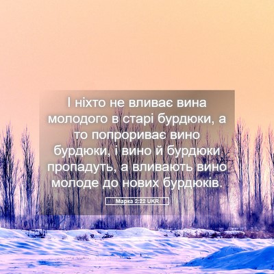 Picture 05 - Марка 2:22 UKR - І ніхто не вливає вина - Bible Verse Picture
