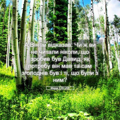 Picture 05 - Марка 2:25 UKR - А Він їм відказав: Чи ж ви - Bible Verse Picture