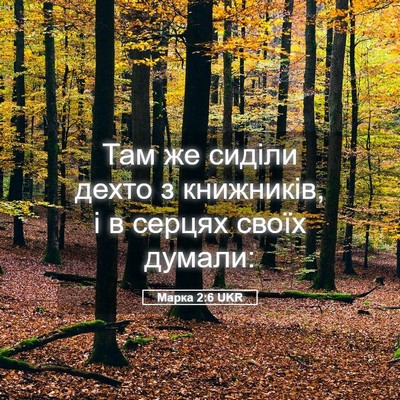 Picture 05 - Марка 2:6 UKR - Там же сиділи дехто з - Bible Verse Picture