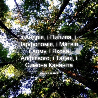 Picture 05 - Марка 3:18 UKR - і Андрія, і Пилипа, і - Bible Verse Picture