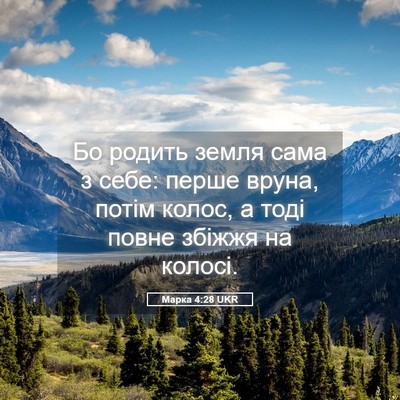 Picture 05 - Марка 4:28 UKR - Бо родить земля сама з - Bible Verse Picture