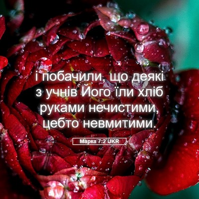 Picture 05 - Марка 7:2 UKR - і побачили, що деякі з - Bible Verse Picture