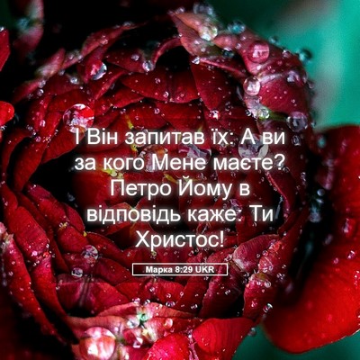 Picture 05 - Марка 8:29 UKR - І Він запитав їх: А ви за - Bible Verse Picture