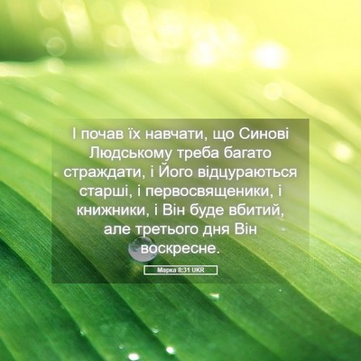 Picture 05 - Марка 8:31 UKR - І почав їх навчати, що - Bible Verse Picture