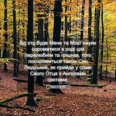 Picture 05 - Марка 8:38 UKR - Бо хто буде Мене та Моєї - Bible Verse Picture