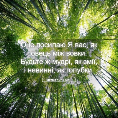 Picture 05 - Матвія 10:16 UKR - Оце посилаю Я вас, як овець - Bible Verse Picture